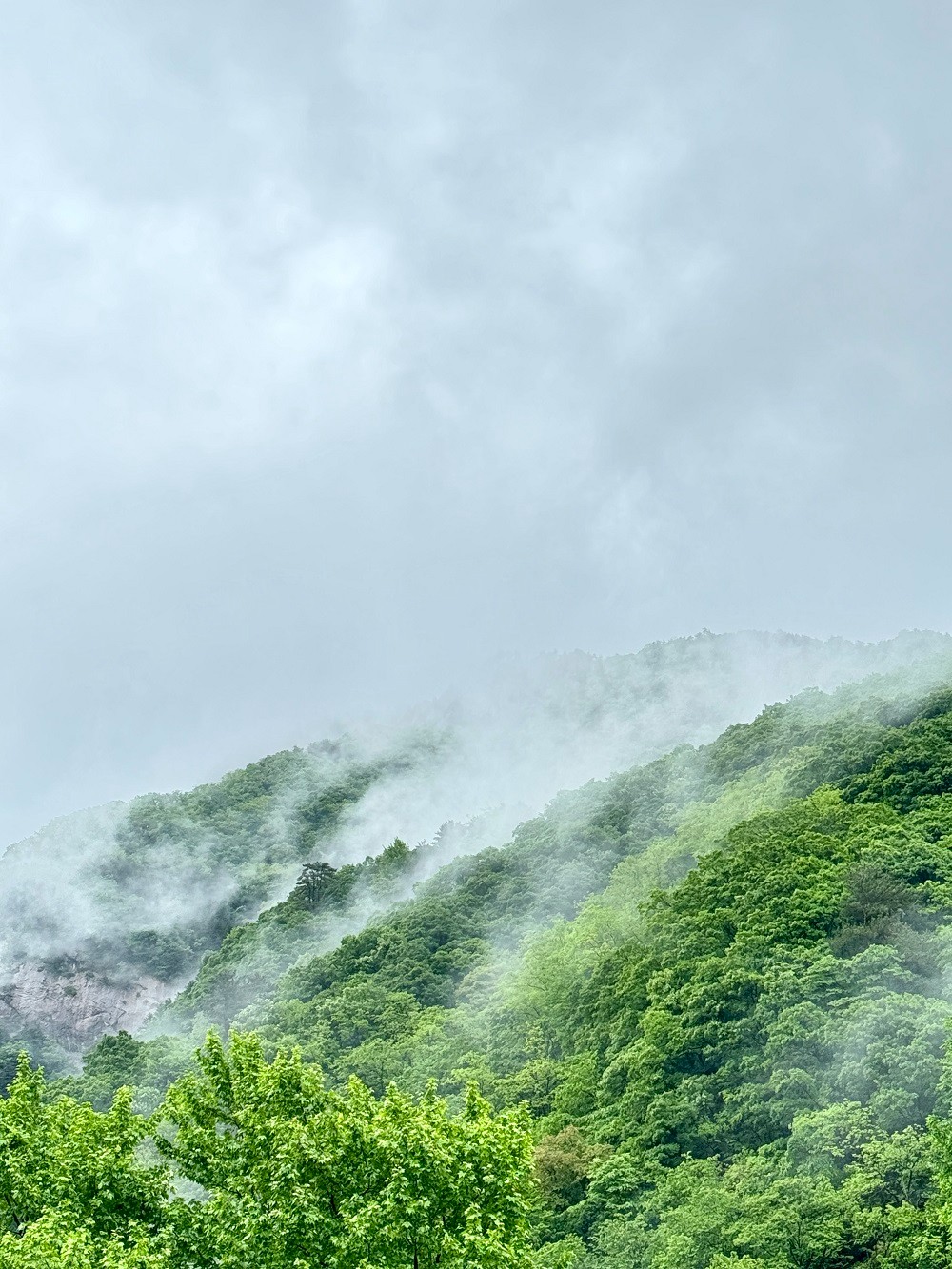 感受绿水青山 传承红色精神丨mansion88咨询安徽公司开展“走进大别山 重走长征路”团建活动-党建清廉-mansion88动态-mansion88