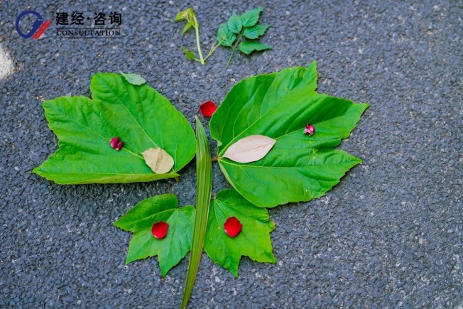 拈花十如，，春风十度 | mansion88友康2025春日团建——mansion88梦享合资人共赴一场自然与初心的星火之约-mansion88新闻-mansion88动态-mansion88