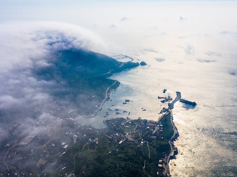 大陈岛碳中和树模区