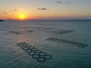海洋碳汇对地方财务收入影响剖析——以大陈岛为例