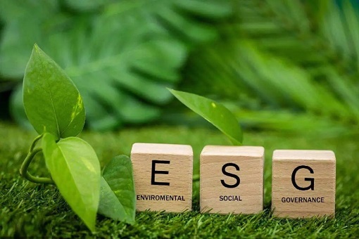 【ESG与高质量生长2】怎样高质量披露企业ESG信息