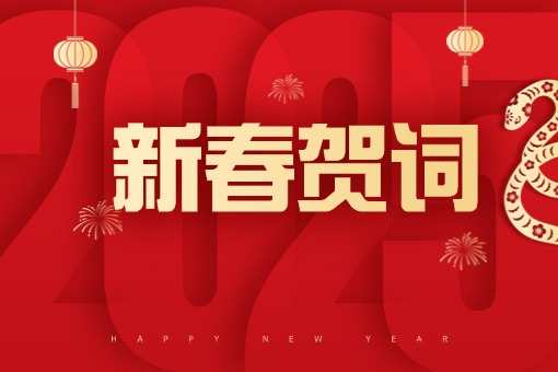扬帆破浪去无际，，，，，继往开来耀千秋 ——mansion88咨询蛇年新春贺词